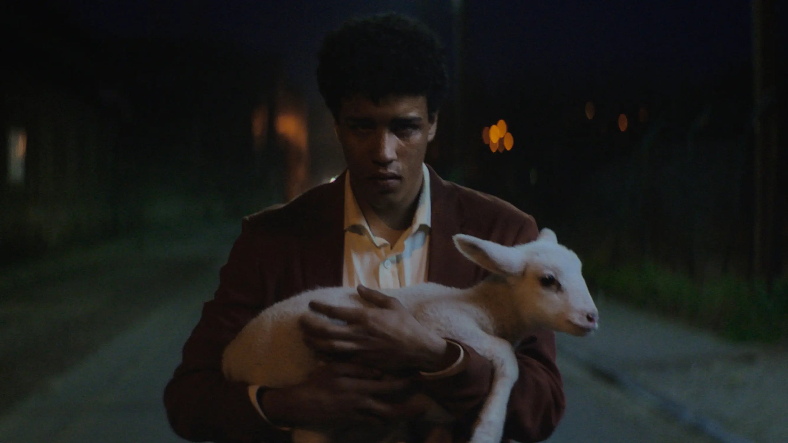 Stray Sheep Teaser - Patta