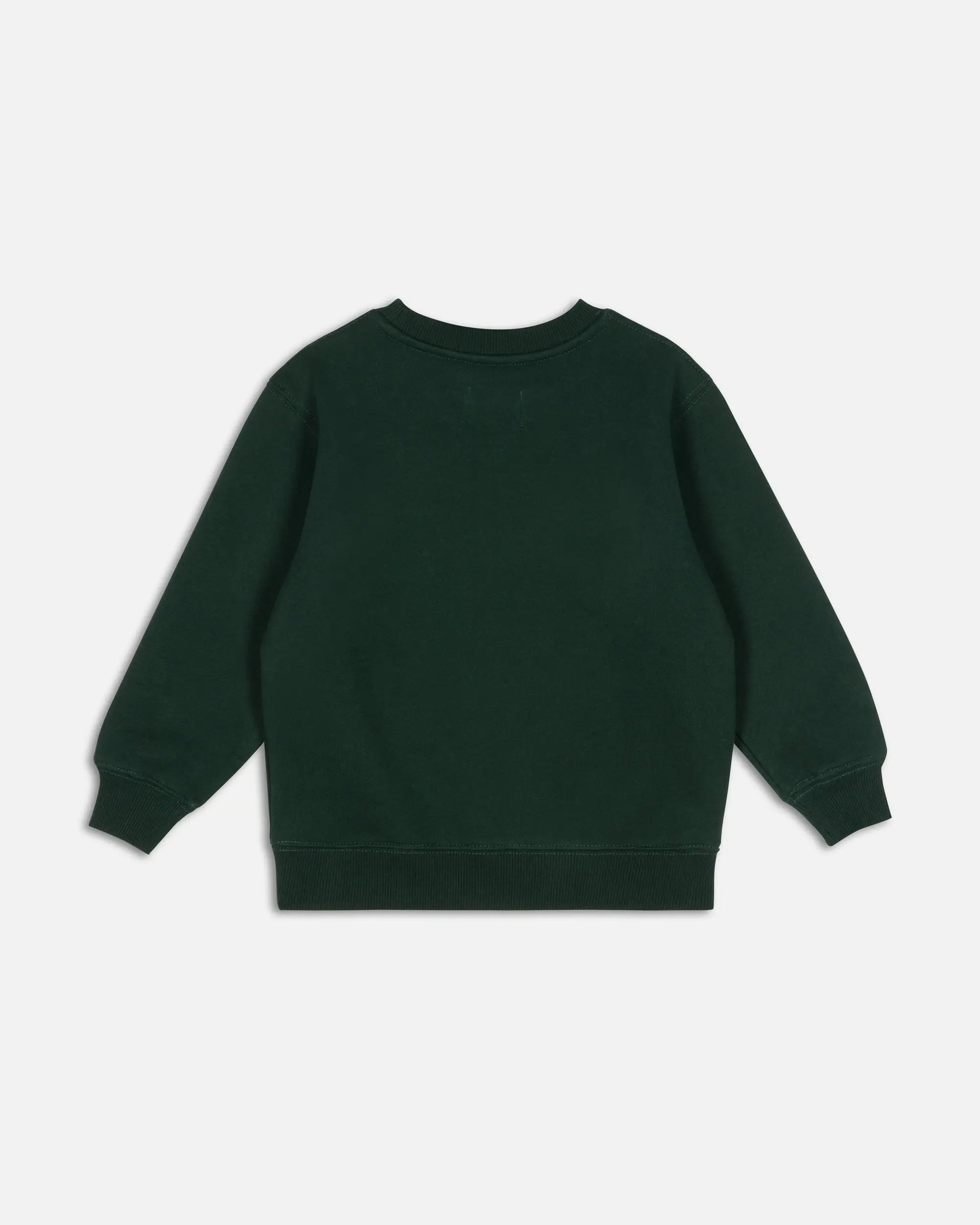 Patta Kids Arc Logo Crewneck Sweater (Pine Grove) Patta